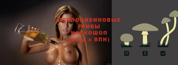 a pvp Арсеньев